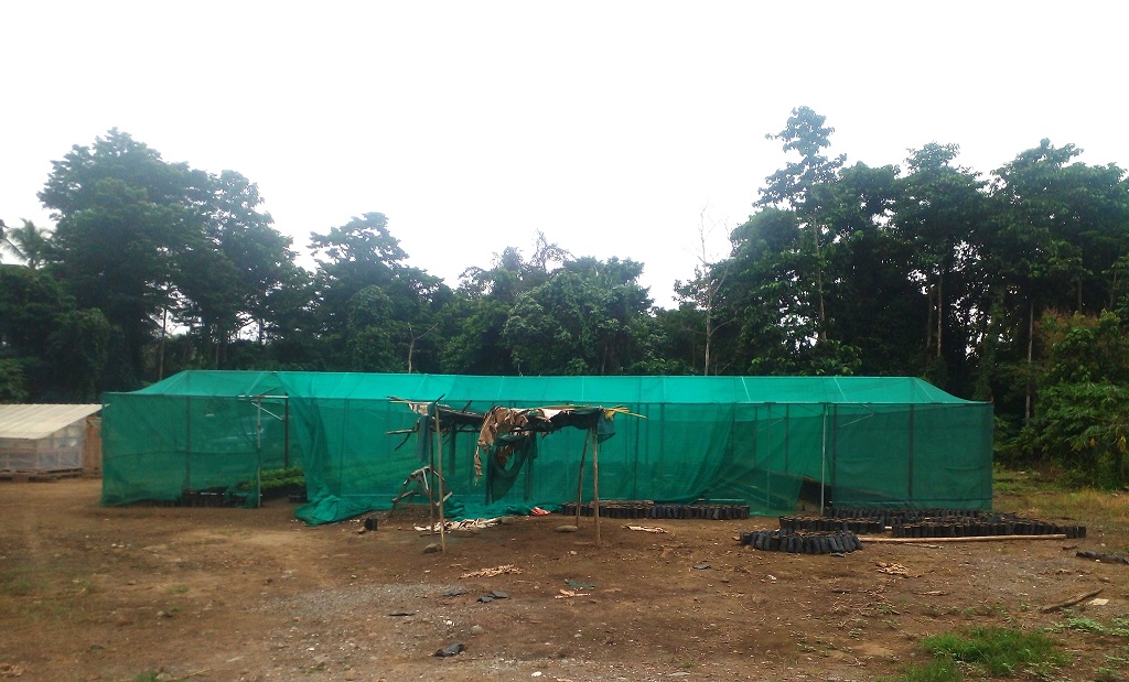 Brave Chairman Leads as Strong Advocate for the Usino Cocoa Project